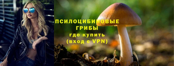 мдма Медногорск