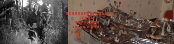 прущая мука Мегион